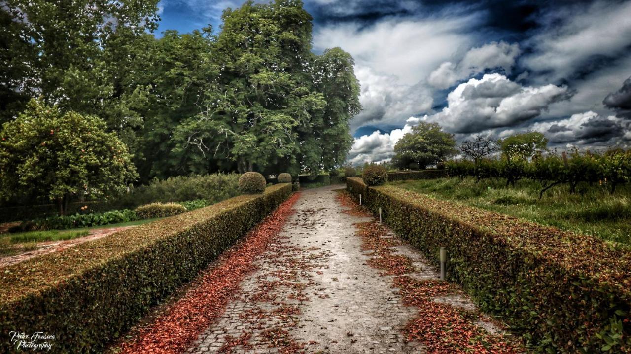 Santar Casa Luis De Camoes - Boutique & Literary Houseゲストハウス エクステリア 写真