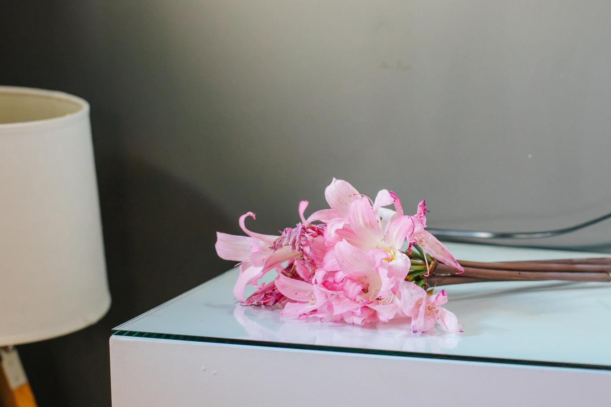Santar Casa Luis De Camoes - Boutique & Literary Houseゲストハウス エクステリア 写真